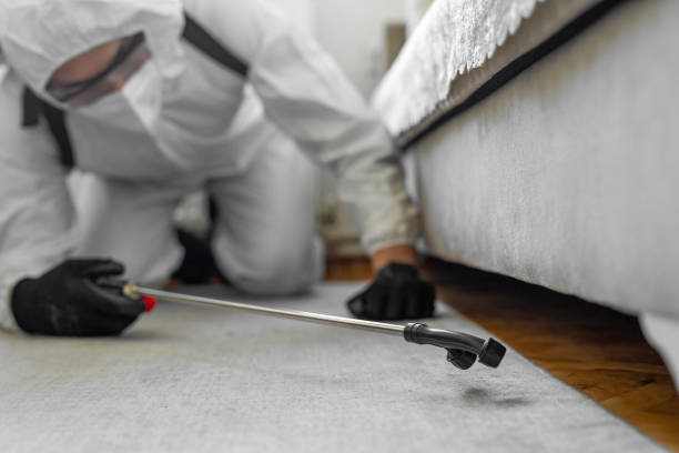 Professional Pest Control technician working in Crosby County County, TX